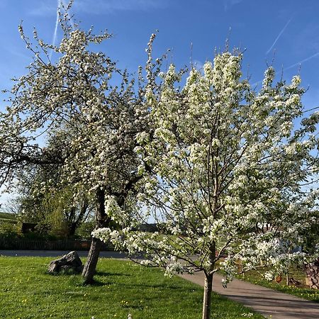 Buchenberg Kuh Heimat - Bergblick - Terrasseアパートメント エクステリア 写真