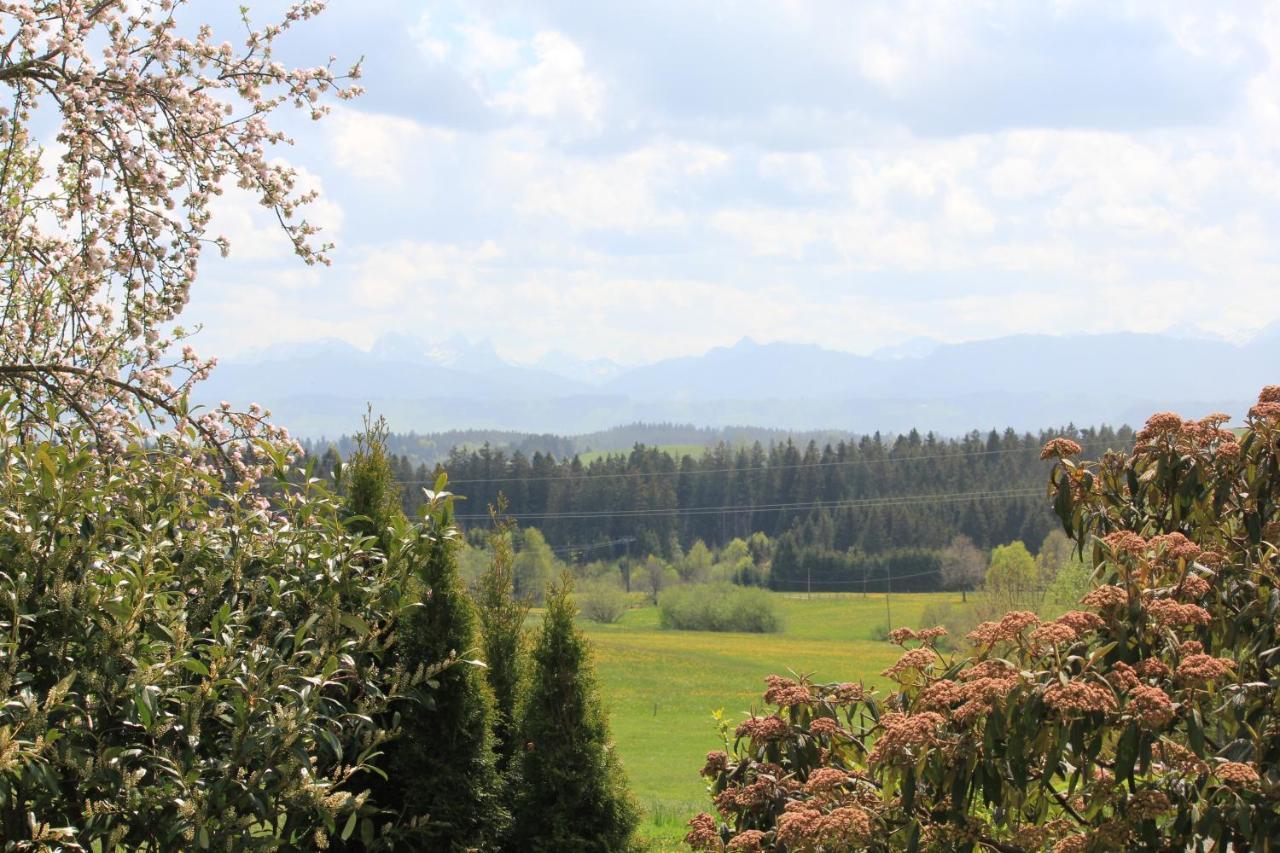 Buchenberg Kuh Heimat - Bergblick - Terrasseアパートメント エクステリア 写真