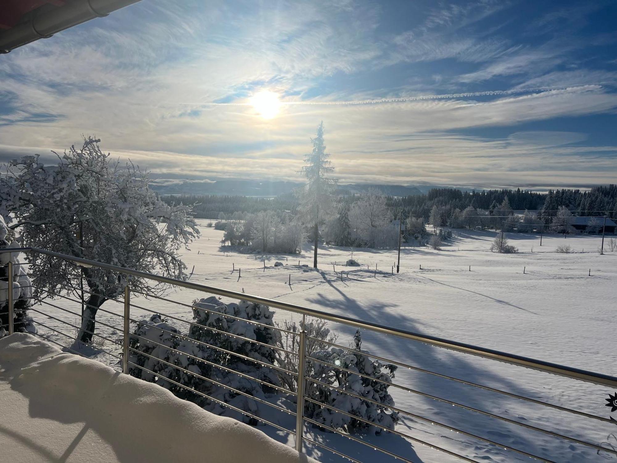 Buchenberg Kuh Heimat - Bergblick - Terrasseアパートメント エクステリア 写真