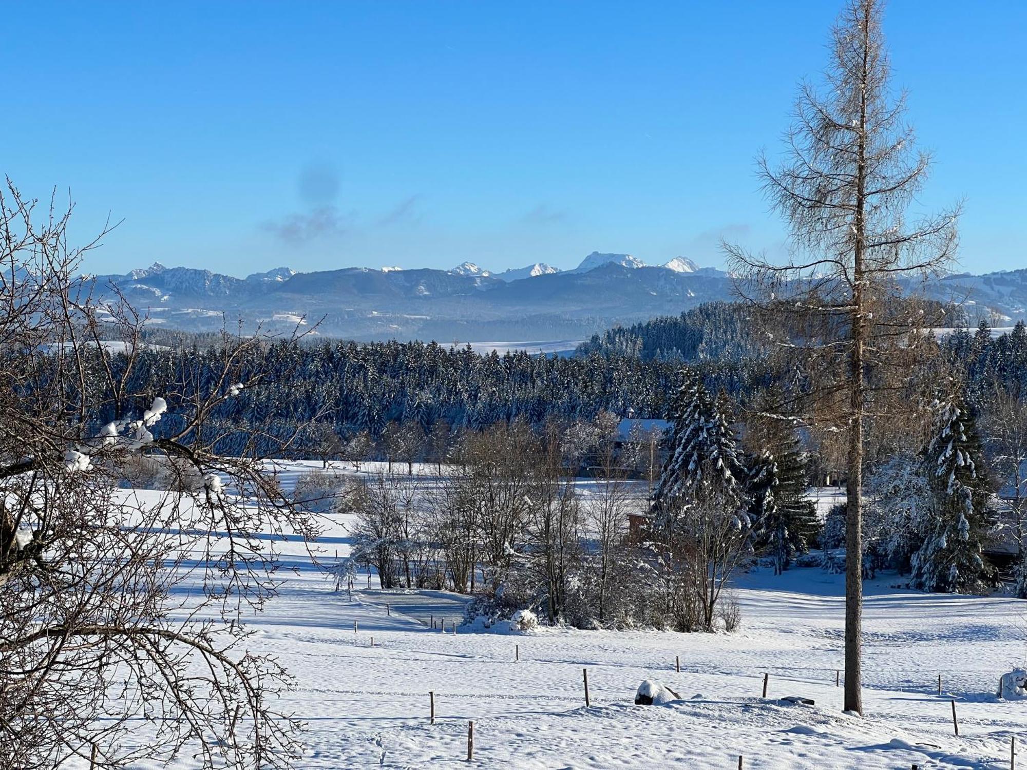 Buchenberg Kuh Heimat - Bergblick - Terrasseアパートメント エクステリア 写真